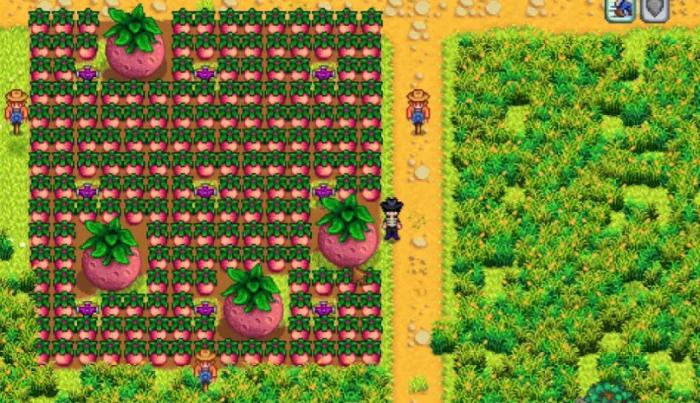 星露谷物语甜瓜有哪些作用1