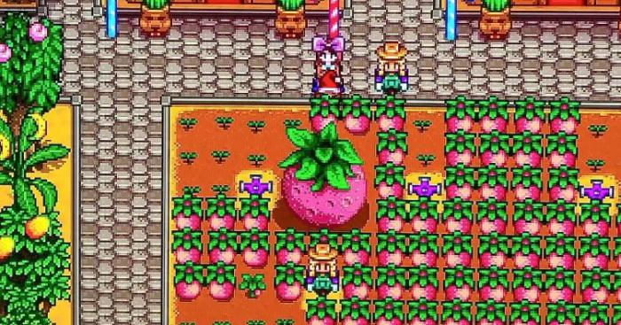 星露谷物语甜瓜有哪些作用2