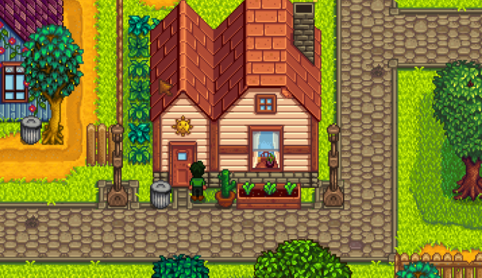 星露谷物语海莉在哪遇到1