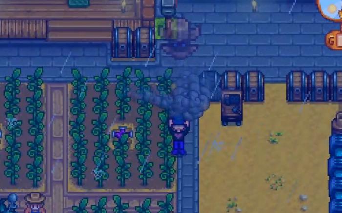 星露谷物语怎么祈雨1