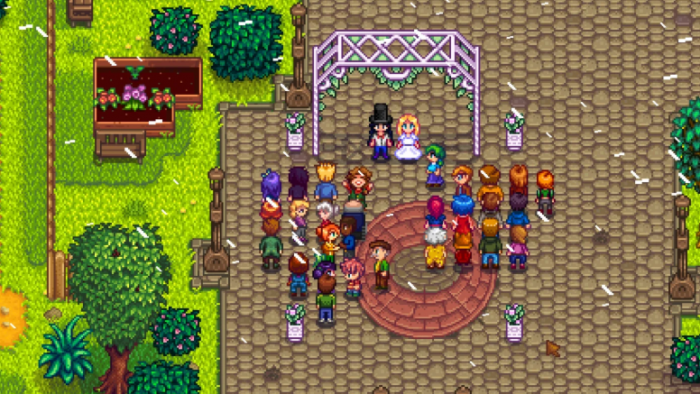 星露谷物语结婚后干什么_星露谷物语汉化手机版