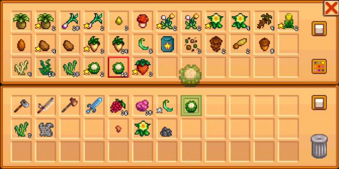 星露谷物语怎样升级背包1