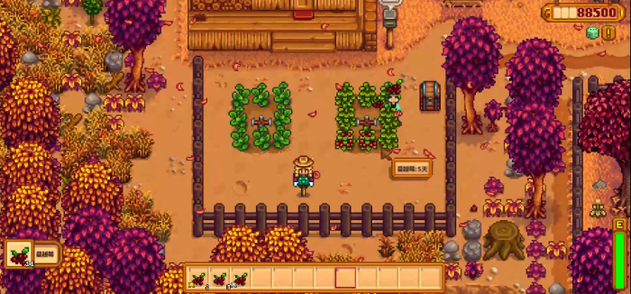 星露谷物语第一年秋天怎么玩1