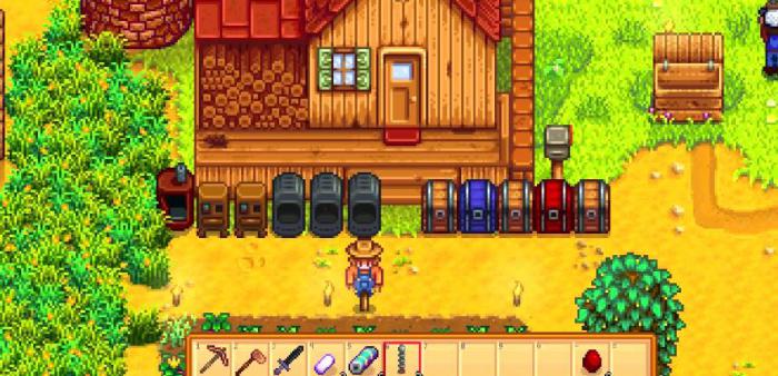 星露谷物语第一年夏天干什么1