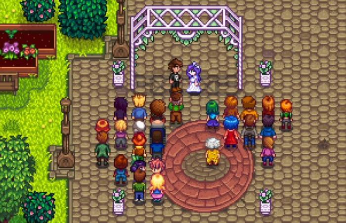 星露谷物语结婚需要什么条件1