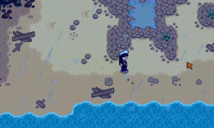 星露谷物语姜岛美人鱼任务怎么做1