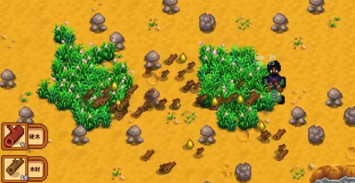 星露谷物语如何快速获得硬木1