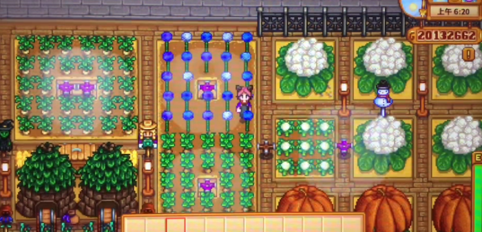 星露谷物语什么农作物收益最高1