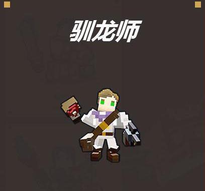 宝藏世界驯龙师是什么样的副职业1