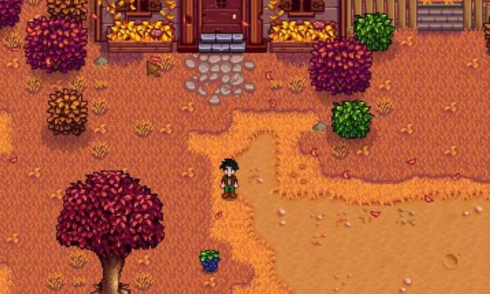 星露谷物语传送塔怎么解锁_星露谷物语传送塔代码