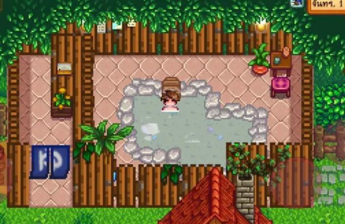 星露谷物语温泉怎么用2