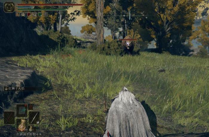 艾尔登法环绿色条是什么3