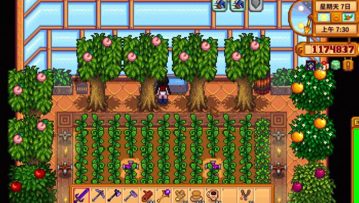 星露谷物语姜岛度假村有什么用3