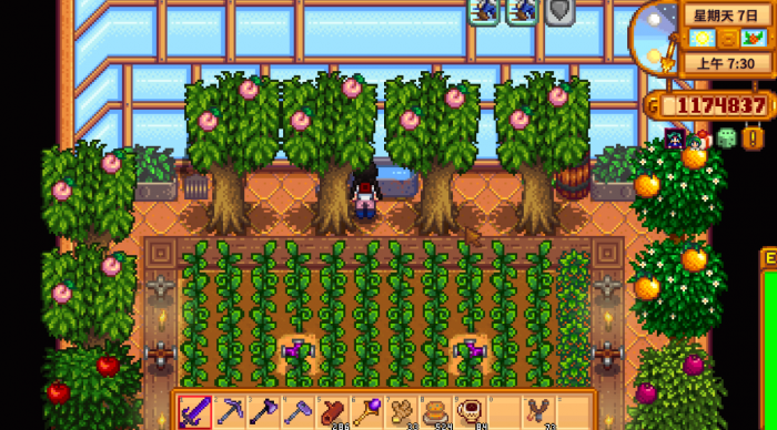 星露谷物语种植什么最好2