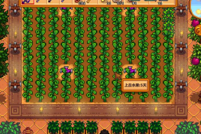 星露谷物语女巫沼泽怎么进入3