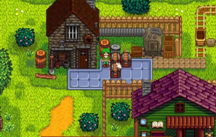 星露谷物语海莉项链在哪1