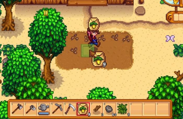 星露谷物语夏天该干什么2