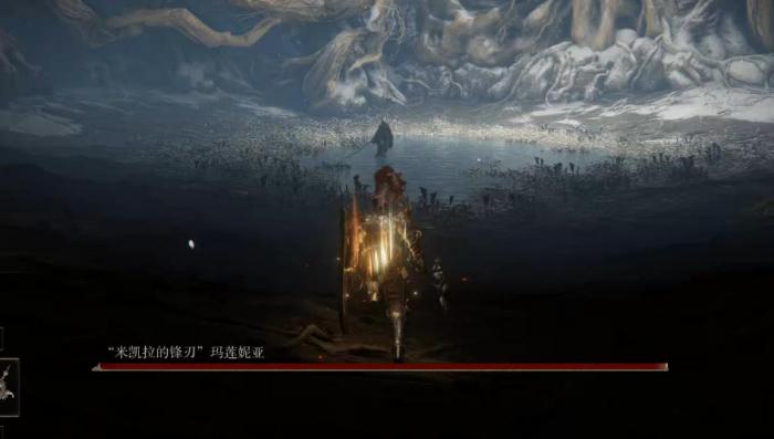 艾尔登法环流浪骑士怎么加点1