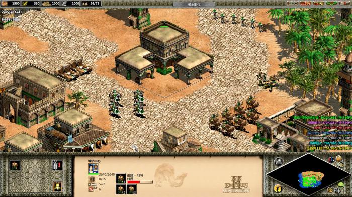 帝国时代2士兵怎么巡逻3