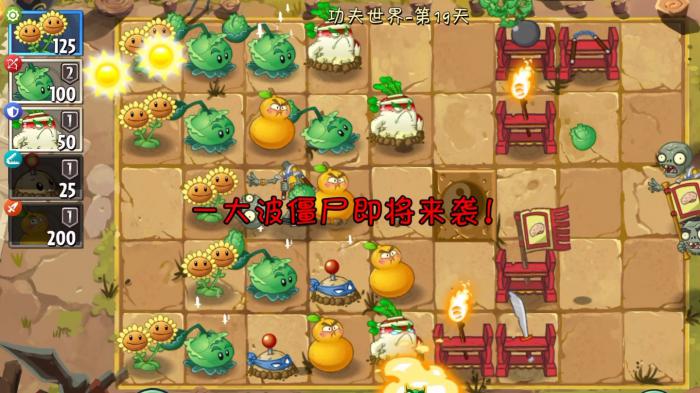 植物大战僵尸19关怎么过1