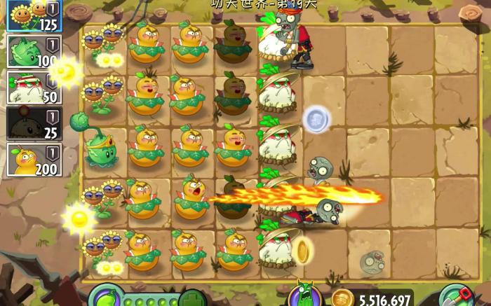 植物大战僵尸19关怎么过2