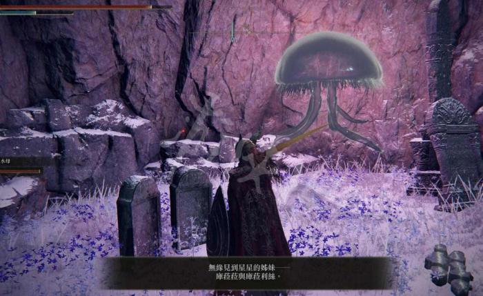 艾尔登法环地图全开攻略是什么2