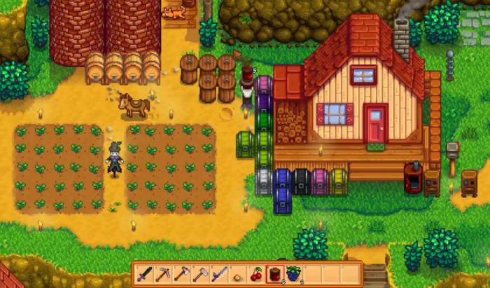 星露谷物语雨天艾利欧特在哪3