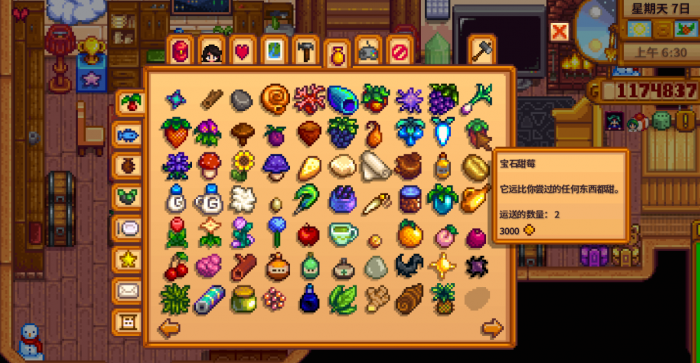 星露谷物语孩子有什么用_星露谷物语孩子长大模组