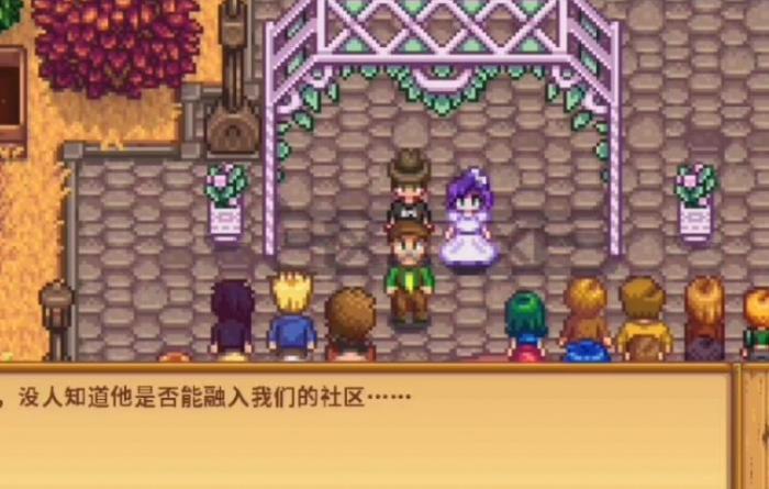 星露谷物语紫头发女孩在哪1