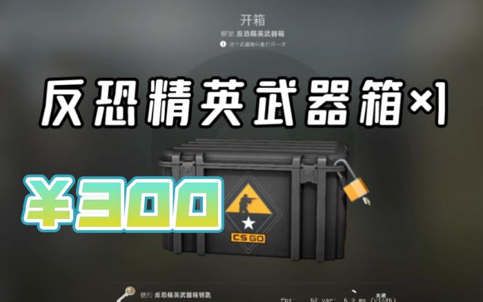 反恐精英武器箱能开出什么3