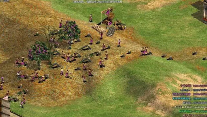 帝国时代2征服者吴国怎么攻略3