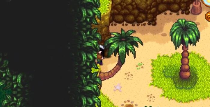 星露谷物语怎么去姜岛1