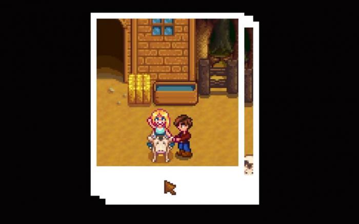 星露谷物语海莉的生日送什么1