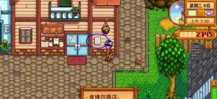 星露谷物语如何找回丢失的东西1