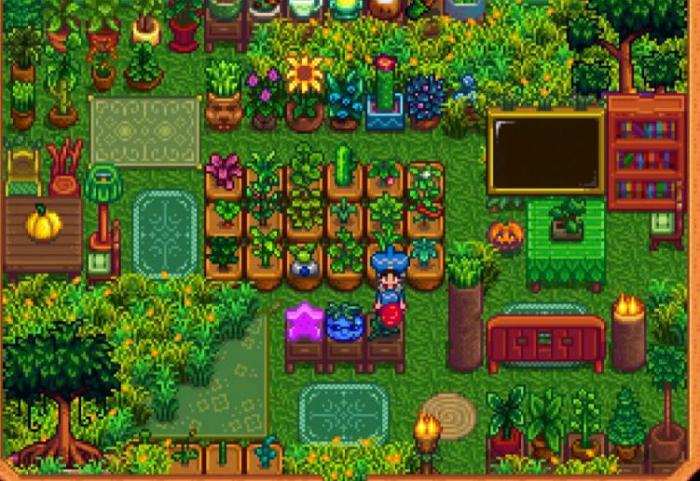 星露谷物语海莉会到哪里2