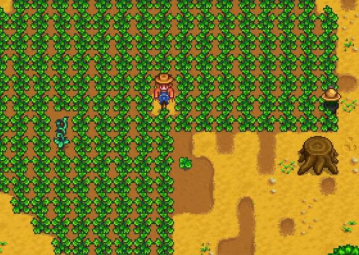 星露谷物语蟹笼出什么_星露谷物语蟹笼怎么用