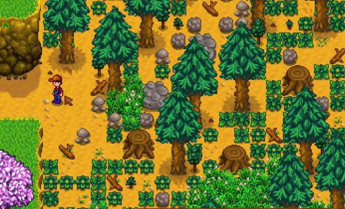 星露谷物语姜岛商店在哪3