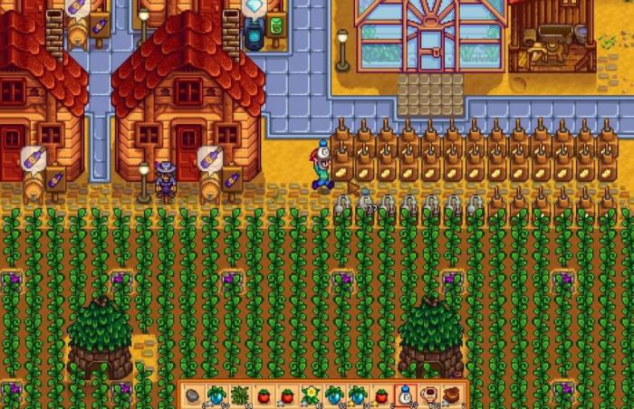 星露谷物语海莉9星任务怎么触发2