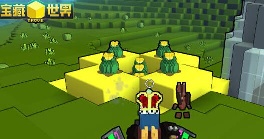 宝藏世界阳光球根怎么得1