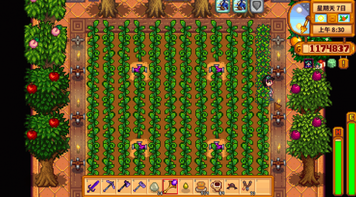 星露谷物语怎么解锁图纸2