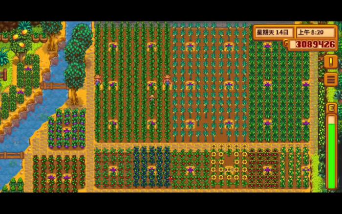 星露谷物语1.5姜岛怎么去_星露谷物语1.6