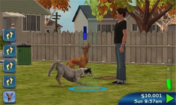 恐龙岛怎么控制宠物_恐龙岛怎么吼叫