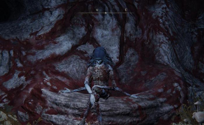 艾尔登法环封面那一套衣服哪里搞1