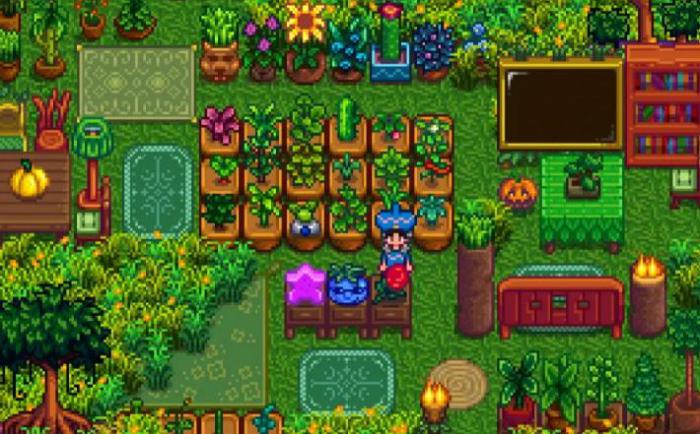 星露谷物语海莉生日在哪里1