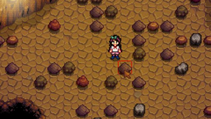 星露谷物语海莉一般在哪2