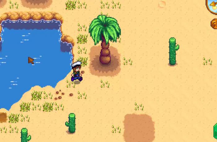 星露谷物语沙漠门卫怎么进去1