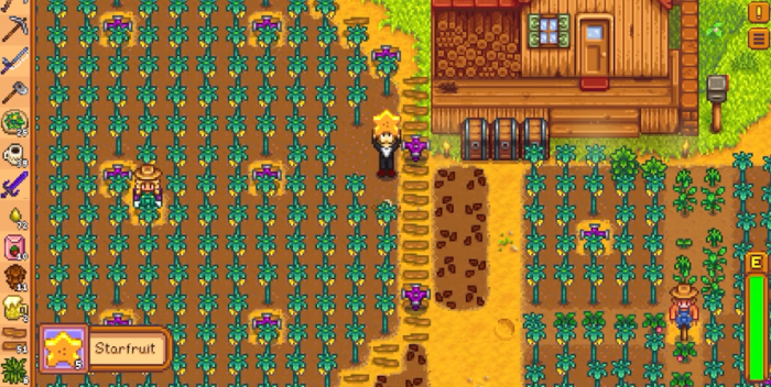 星露谷物语夏天种什么赚_星露谷物语姜岛攻略