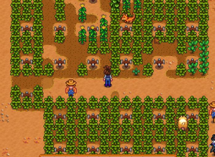 星露谷物语耕种升级经验2