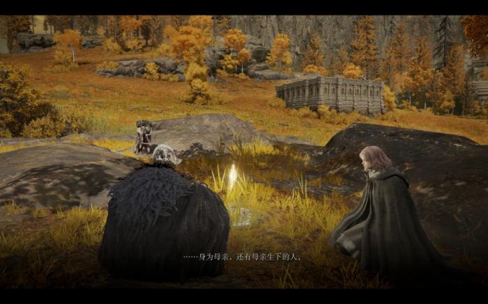 艾尔登法环到底讲了什么故事2