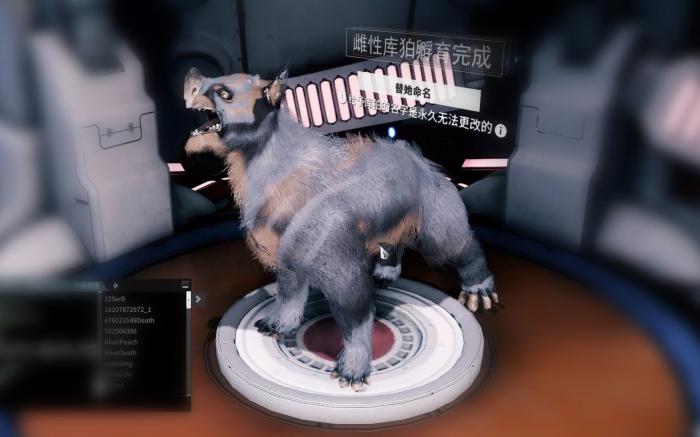 星际战甲新手推荐宠物有哪些1